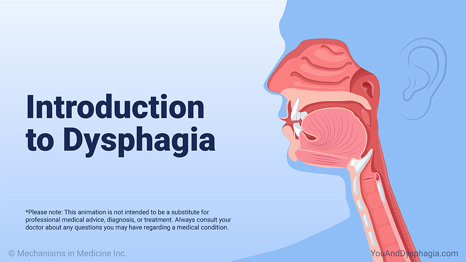 Introduction to Dysphagia — Animation